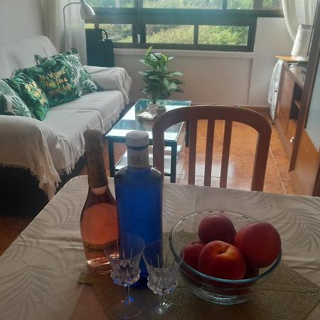 Miramar III Διαμέρισμα Τορεβιέχα Εξωτερικό φωτογραφία