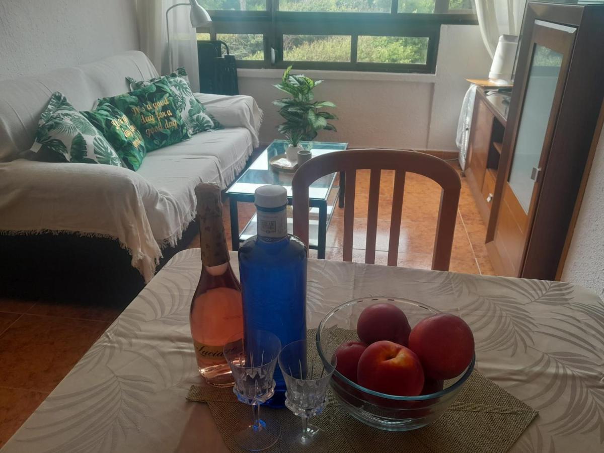 Miramar III Διαμέρισμα Τορεβιέχα Εξωτερικό φωτογραφία